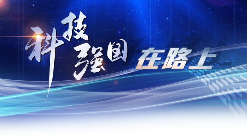 OA系统与钉钉：效率提升的两种路径对比